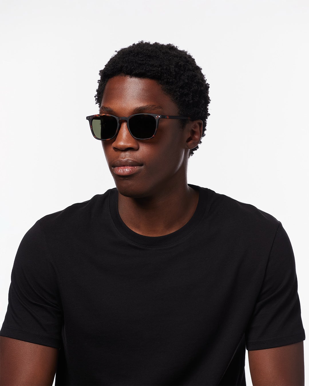 SUN POLARIZED #ETortoise