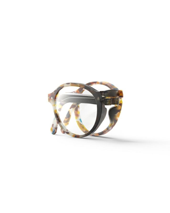 READING #FBlue Tortoise