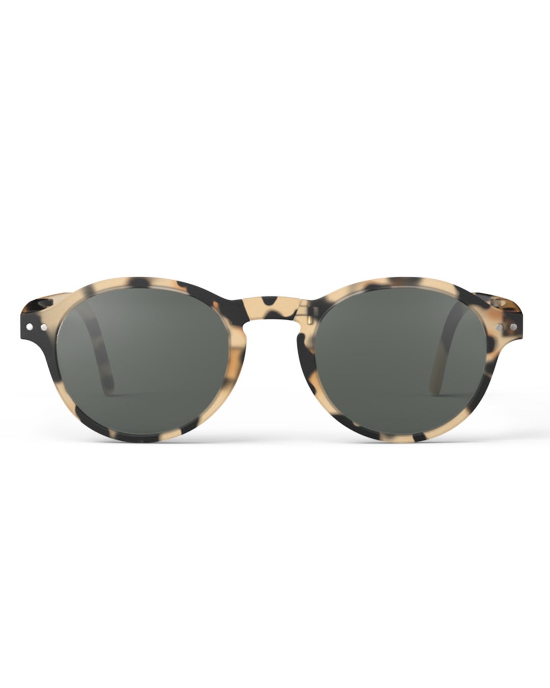 SUN #FLight Tortoise