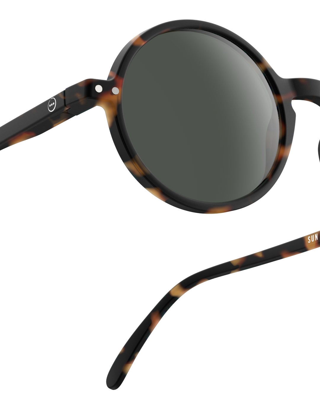 SUN #GTortoise