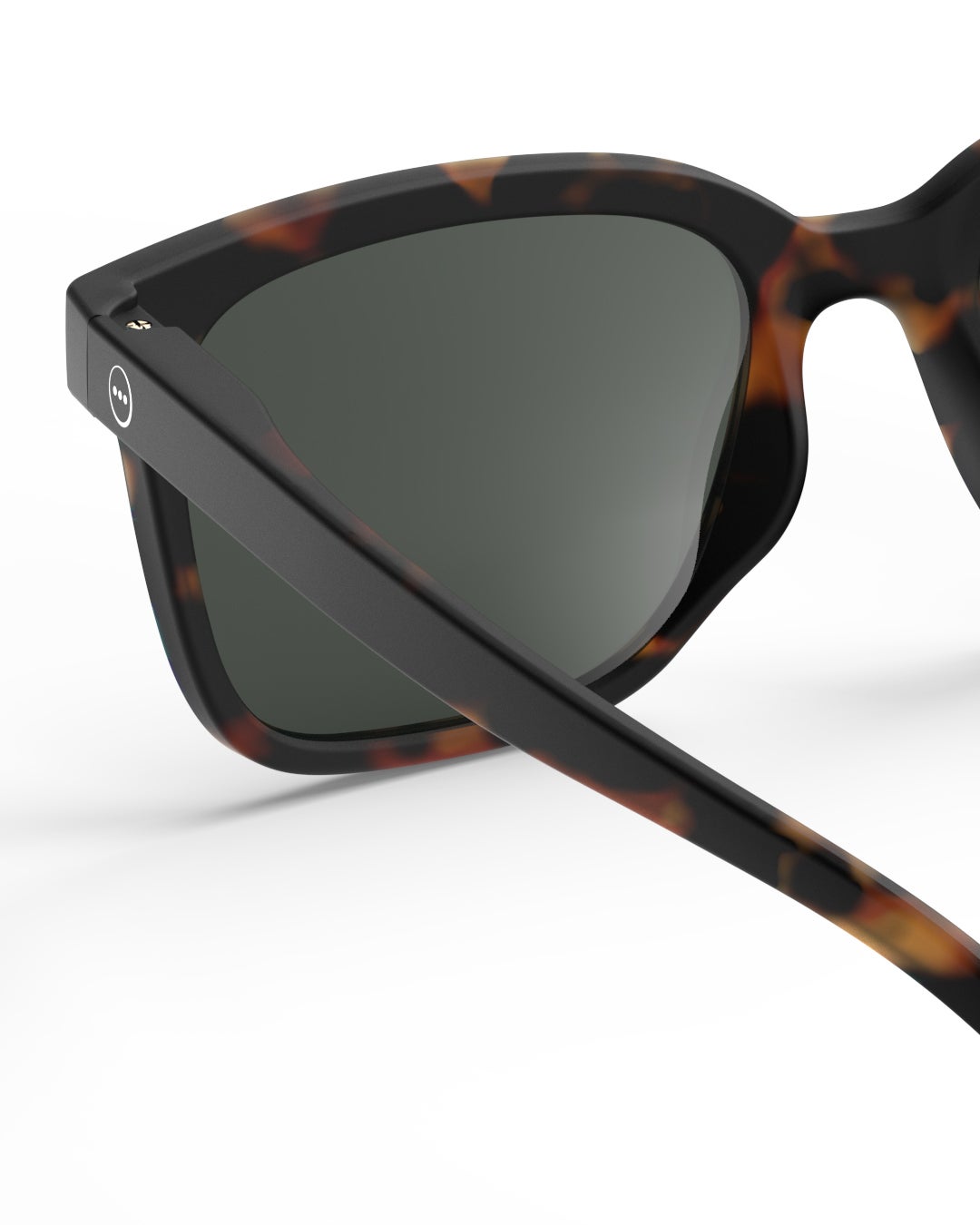 SUN #LTortoise