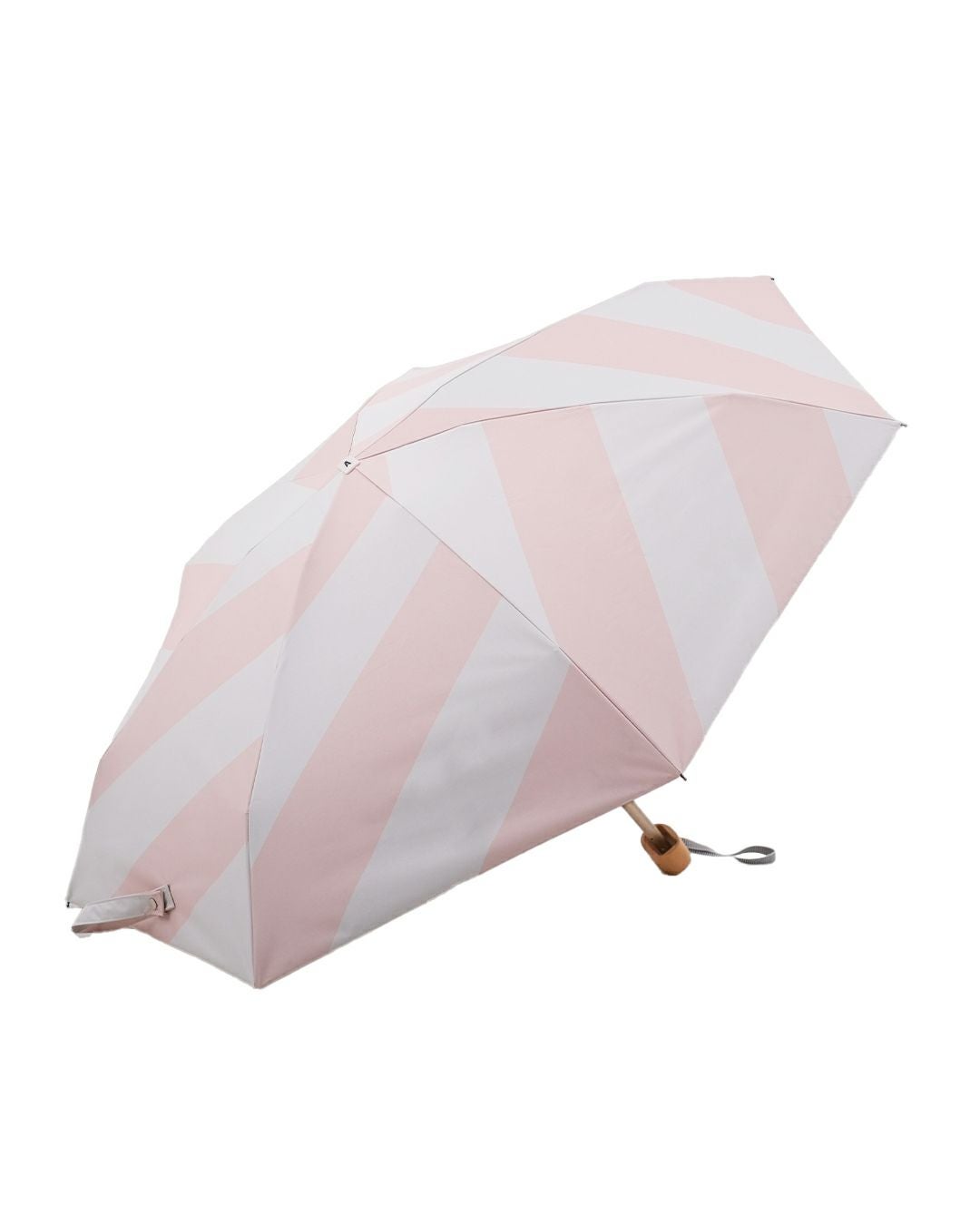 CASSIOPEA(カシオペア)