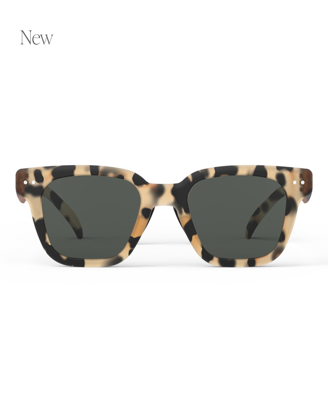 SUN #ROADLight Tortoise