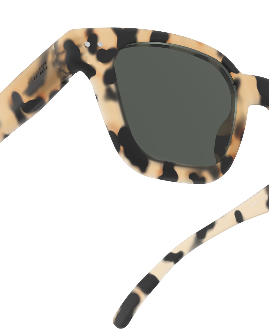 SUN #ROADLight Tortoise